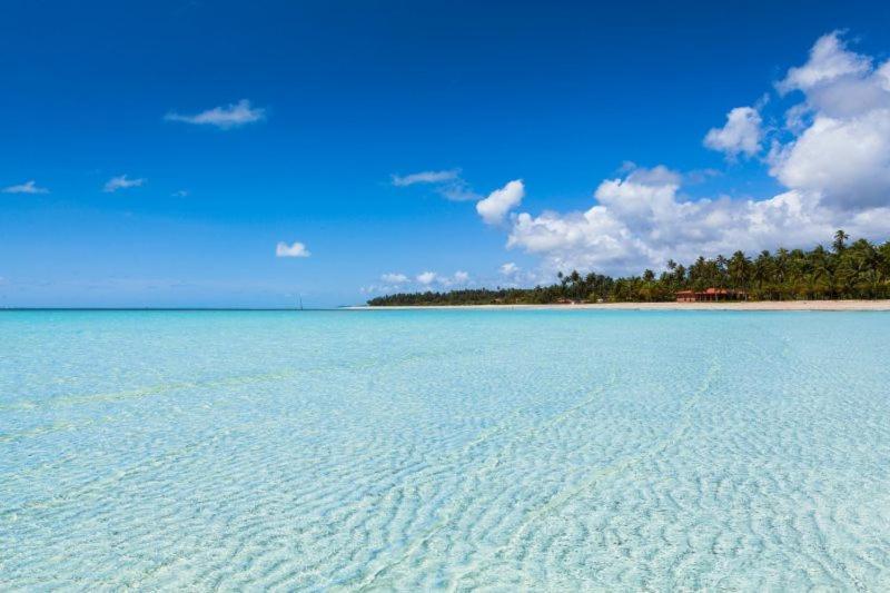 Casa Com Piscina Na Praia De Peroba Maragogi Zewnętrze zdjęcie