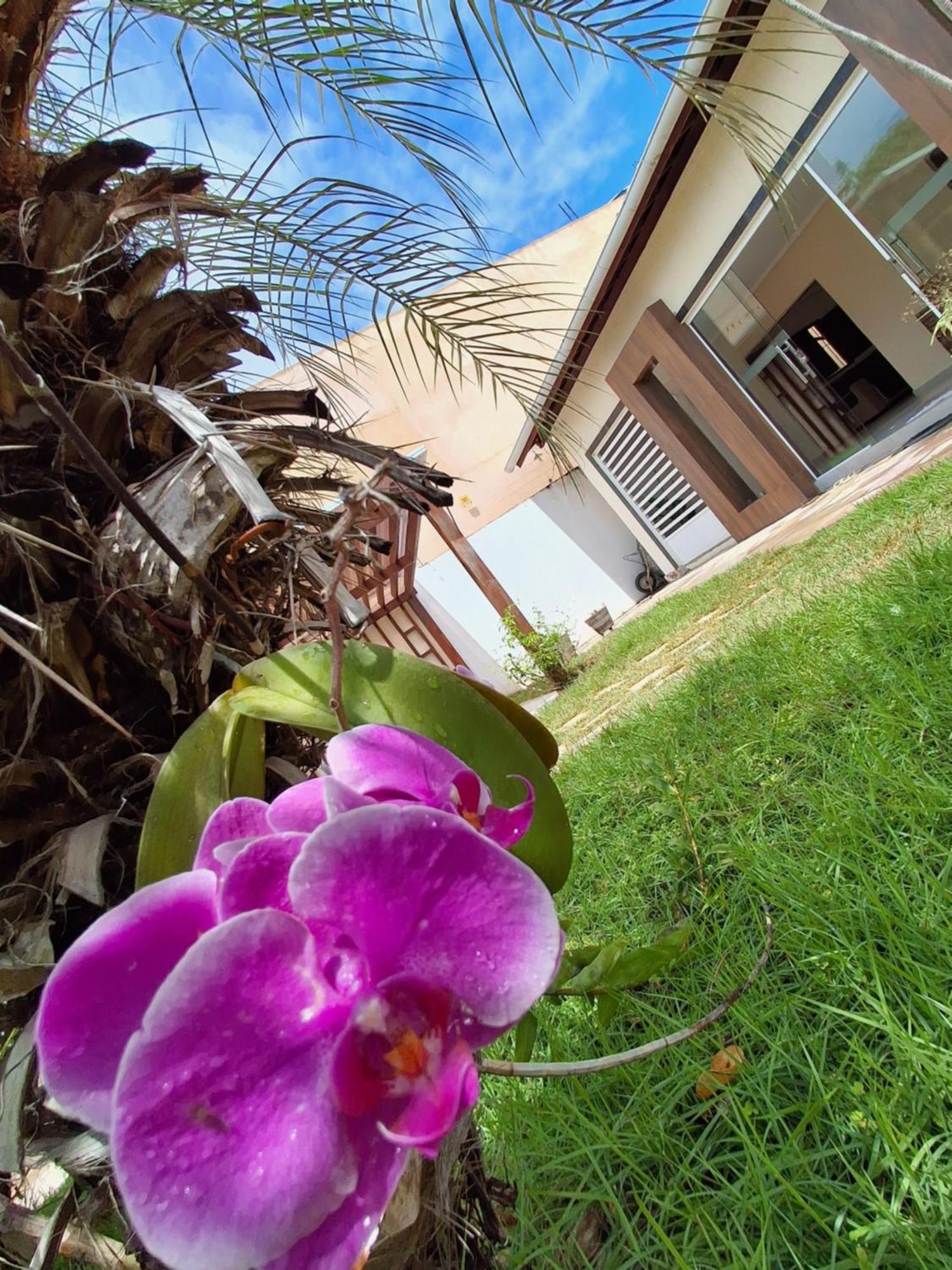 Casa Com Piscina Na Praia De Peroba Maragogi Zewnętrze zdjęcie