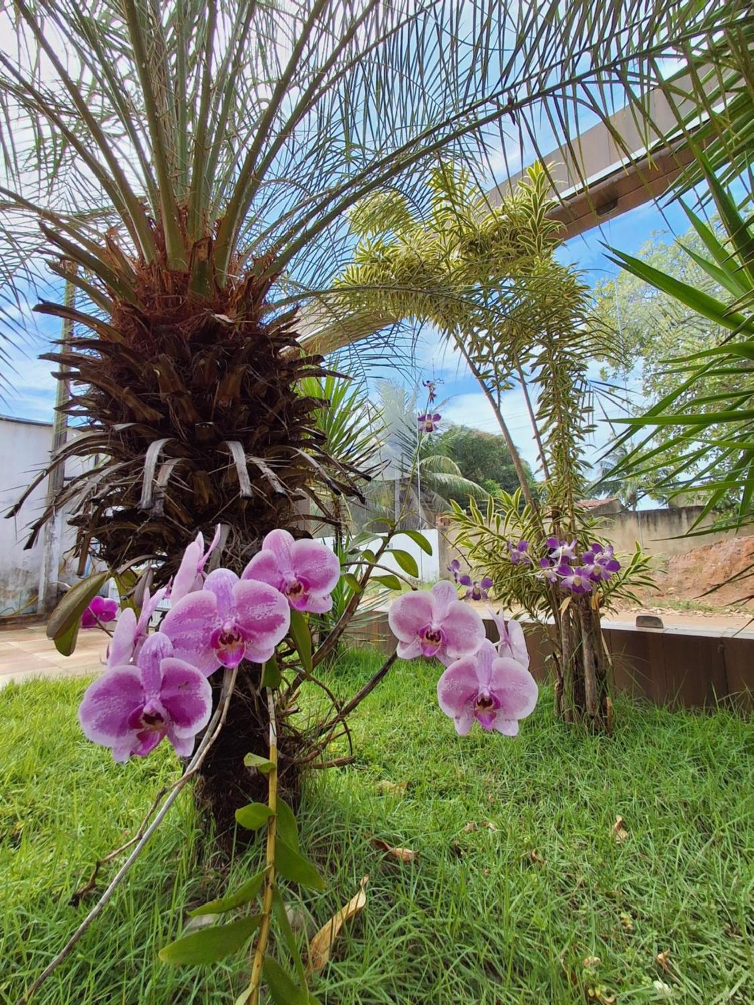 Casa Com Piscina Na Praia De Peroba Maragogi Zewnętrze zdjęcie